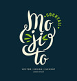 modern hand drawn lettering label for cocktail vector image