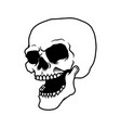 human skull in monochrome style design element vector image