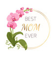 mothers day greeting card pink orchid gold wreath vector image