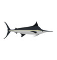 istiompax indica - black marlin - side view - flat vector image vector image