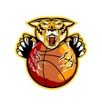 tiger basketball ball claws vector image
