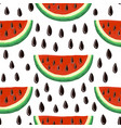 watermelon seamless pattern vector image