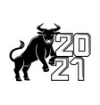 bull symbol new year 2021 vector image