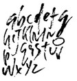 hand drawn elegant calligraphy font modern brush vector image