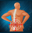 spine diagram showing back pain vector image