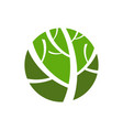 garden tree icon growth and environment symbol vector image vector image