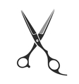 vintage barber shop scissors vector image