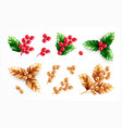 christmas plants decoration set vector image vector image