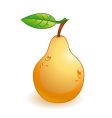 glossy pear vector image