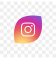 instagram social media icon design template vector image vector image