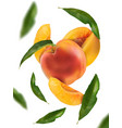 vn peaches background 2 vector image