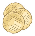 matzah bread traditional jewish vector image vector image