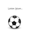 soccer ball icon vector image