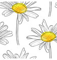 seamless pattern with flower of daisy vector image