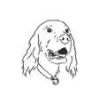 dog hand drawn english setter isolated vector image vector image