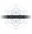 metatron outline seed of life sacred geometry vector image