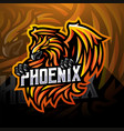 phoenix esport mascot logo design vector image