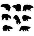 bear silhouette set vector image