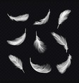set isolated white bird feather on transparent vector image