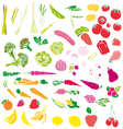 vegetables and fruit vector image