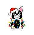 french bulldog in santa hat tangled xmas lights vector image