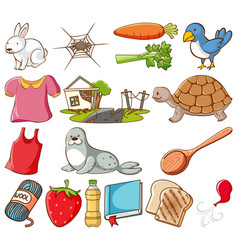 Large set different animals and other objects Vector Image