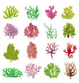 seaweed set sea plants ocean algae and aquarium vector image