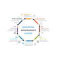 education infographics vector image vector image