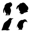 penguin silhouette set vector image