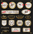 retro vintage shiny golden labels collection vector image