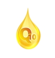 coenzyme q10 gold oil icon vector image