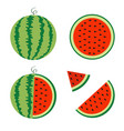 watermelon icon set whole ripe green stem slice vector image