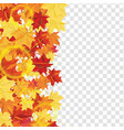 maple leaves on transparency grid vector image