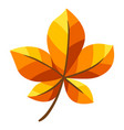 autumn chestnut leaf vector image