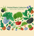 house flowers indoor floriculture super sale vector image