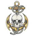 skull and anchor colorful tattoo vector image vector image