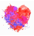 beautiful card vector image