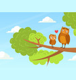 cute baby owl and parent sitting on tree branches vector image