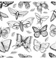 tattoo or boho t-shirt scrapbooking design vector image