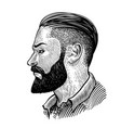 hand drawn portrait of bearded man in profile vector image