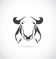 image of cow head vector image