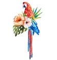 tropical birds vector image