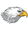 eagle bald face side view profile vector image vector image