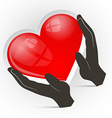 heart in hands isolated on white background vector image vector image