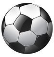 soccer ball vector image