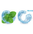 splash water and mint 3d realistic vector image