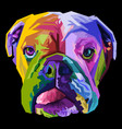 colorful english bulldog on pop art style vector image vector image