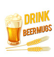 drink beer mugs glass of barley background ve vector image