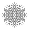 mandala sacred geometry vector image