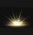 star burst with sparkles golden light flare vector image vector image